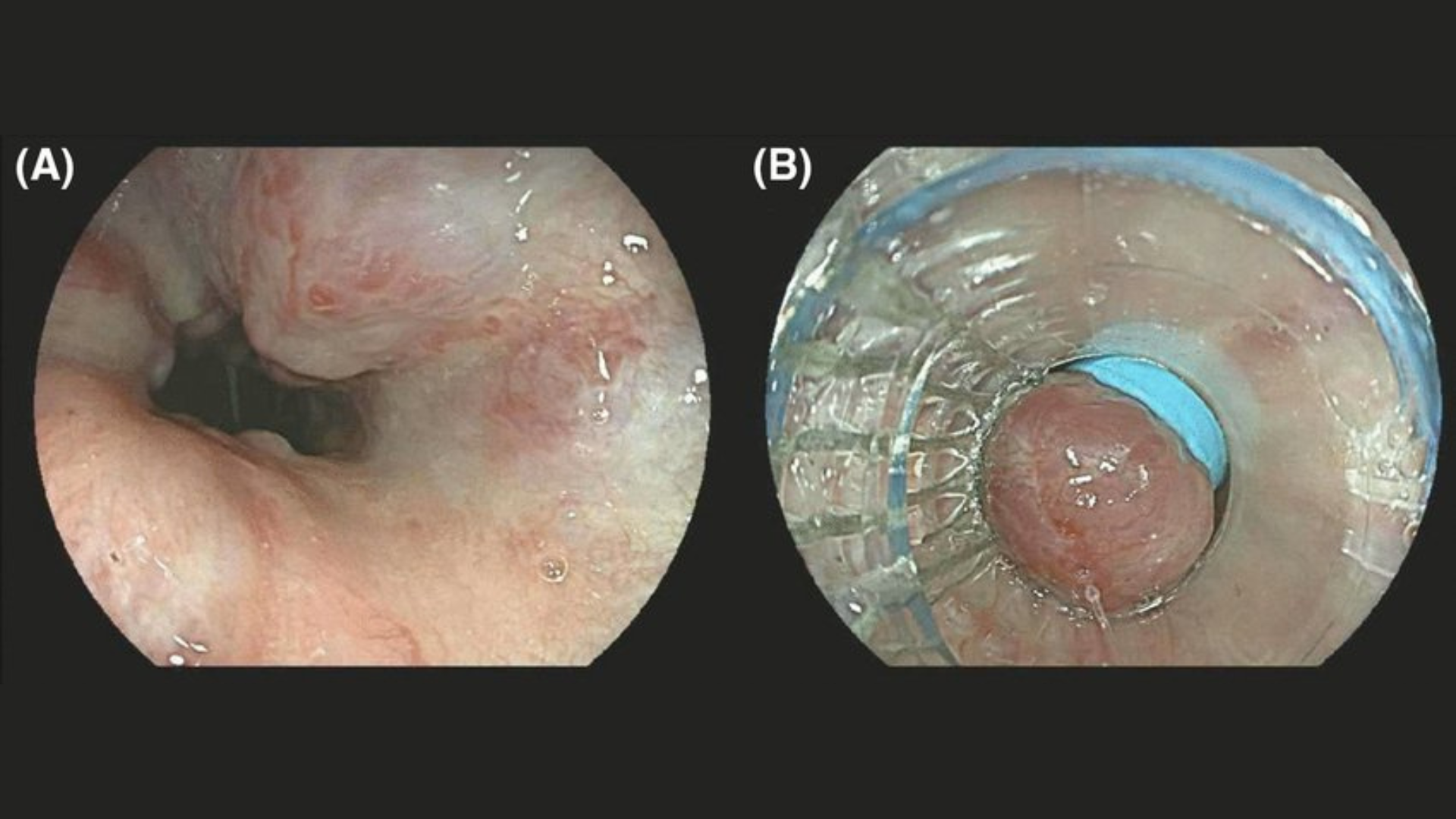 Physiotherapy & Rehabilitation
